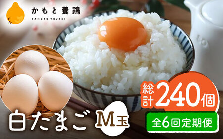 白たまご M玉 40個（37個＋3個割れ保証）タマゴ 玉子 熊本県たまご 卵 国産たまご 新鮮たまご しろたまご M玉たまご 熊本たまご 濃厚たまご [ZCA011]