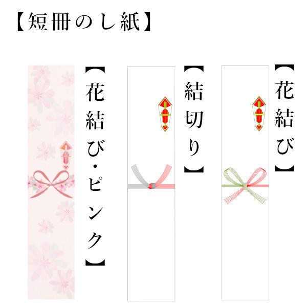 新米 令和５年産 贈り物 お米 5kg 送料無料 コシヒカリ 白米 5kg×1袋 茨城県 産直 五ツ星お米マイスター厳選米 内祝い 御祝い お祝い