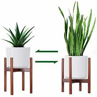 植物 台 植木の通販 919件の検索結果 Lineショッピング