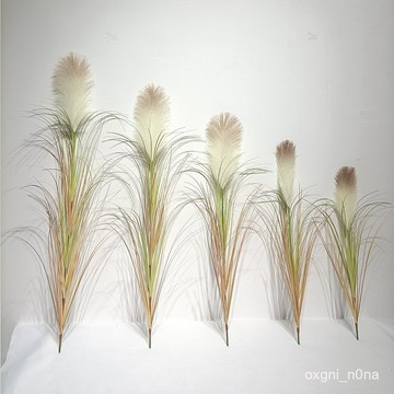 現貨 當天發貨 隔日到貨 pvc仿真蘆葦單支仿真洋蔥草狗尾巴草ins風假花綠植裝飾造景仿真花F27 IZ3A即將登場