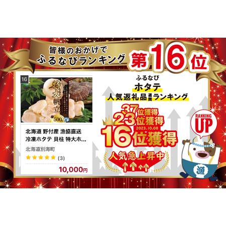 ふるさと納税 北海道 野付産 漁協直送 冷凍ホタテ 貝柱 特大ホタテ500ｇ  （ ほたて ホタテ 帆立 貝柱 北海道 野付 人気 ふるさと.. 北海道別海町