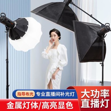 300W新品補光燈室內拍照攝影燈主播新品拍攝球形打光燈常亮太陽燈
