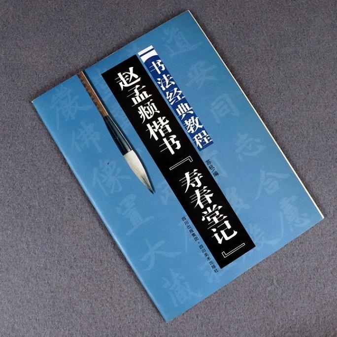 趙孟フ《寿春堂記》　書法経典教程　中国語書道 #36213;孟#38955;楷#20070;#183;寿春堂#35760;　#20070;法#32463;典教程