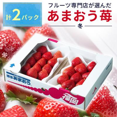 ふるさと納税 朝倉市 福岡のいちご!苺本来の酸味と甘み!冬あまおう2パック(朝倉市)