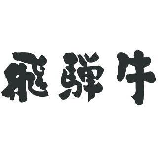 飛騨牛 肉 牛肉 和牛 国産 しゃぶしゃぶ 赤身 モモ ギフト 贈り物 食べ物 プレゼント しゃぶしゃぶ肉 引越し祝い 出産内祝い 出産祝い 結婚祝い 300g 2〜3人前