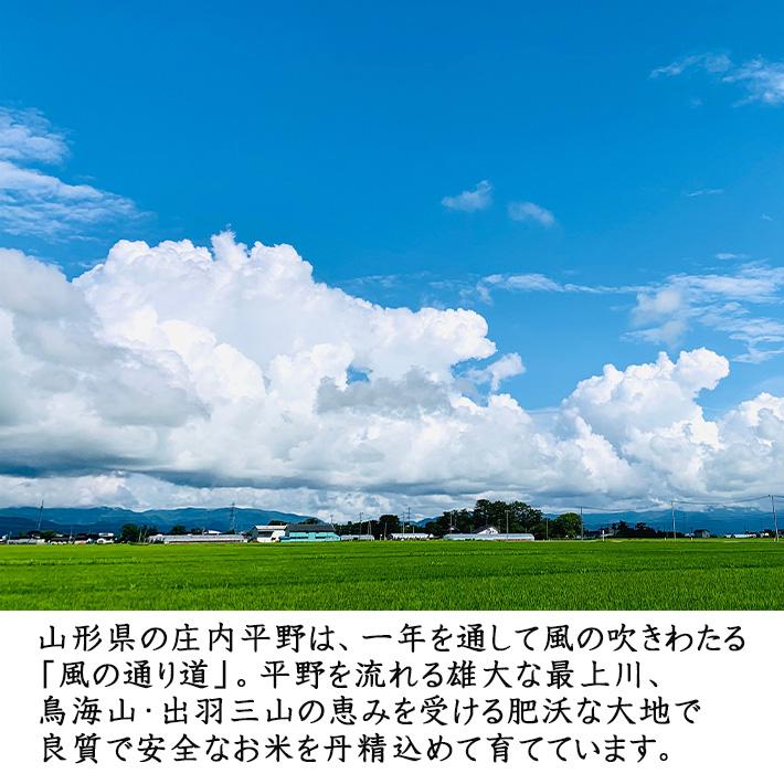 米 食べ比べ 送料無料 特別栽培米 つや姫 2kg 雪若丸2kg 山形県産 米シスト庄内