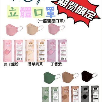 (L-胖丁配)立體口罩共120片