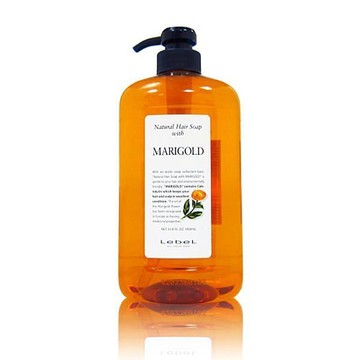 肯邦 金盞花洗髮精 1000ml ★七彩美容百貨｜【滿額享最高折1100 APP下單點數4%】