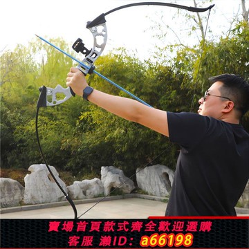 【台灣公司 可開發票】反曲弓箭套裝射擊戶外運動合金可調節直拉弓景區射魚競技專業入門