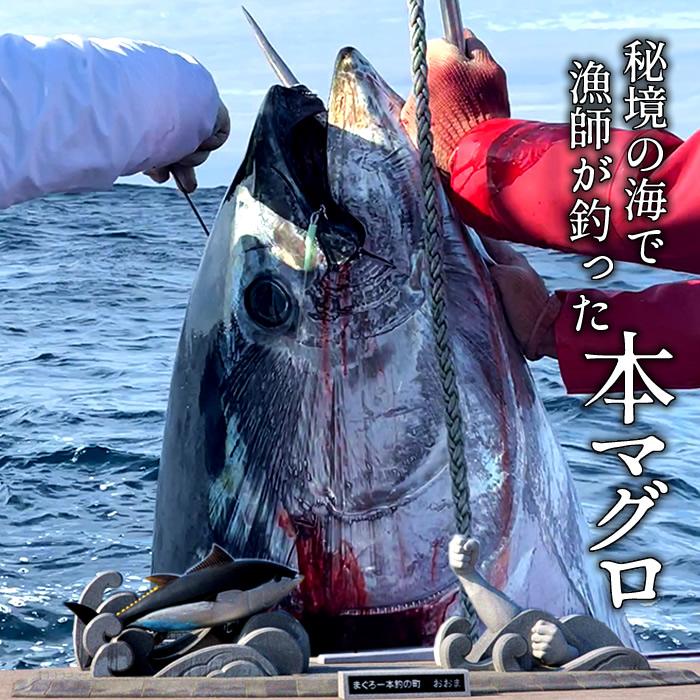 マグロ 青森県大間産 クロマグロ 大トロ200g×2サク 本マグロ 刺身用 鮪 切り身