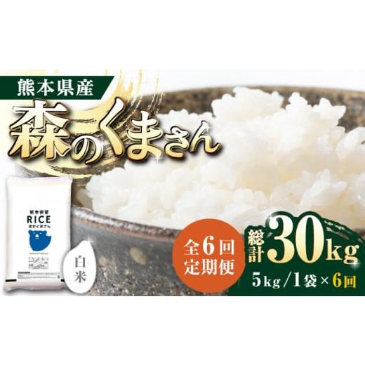 ふるさと納税 熊本県 山鹿市 森のくまさん 白米 5kg定期便 5kg 精米 森