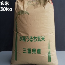 地域慣行普通栽培コシヒカリ 玄米 30kg(30kg×1袋)