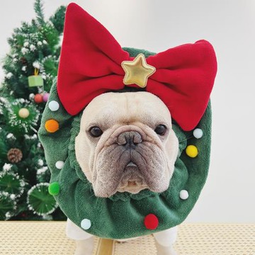 法斗衣服寵物圣誕圍脖頭套節日圍巾斗牛巴哥雪納瑞柴犬頭飾口水巾