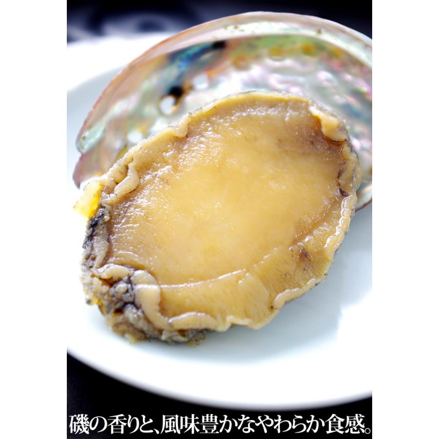 エゾアワビのやわらか煮 貝殻つき・肝つき 80g×3個 北海道産 送料無料 ギフト梱包不可 お取り寄せ 北海道 煮あわび あわび 肝 鮑