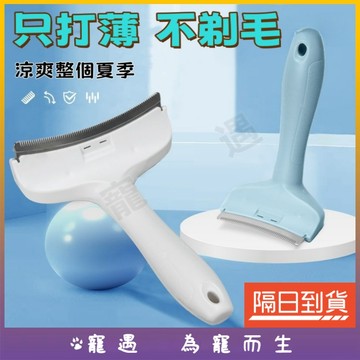 寵物打薄梳 貓咪打薄梳 貓打薄梳 寵物梳子 貓咪梳子 貓毛梳 寵物梳 貓梳子 貓咪梳毛 廢毛梳 貓咪梳毛器 寵物梳毛器