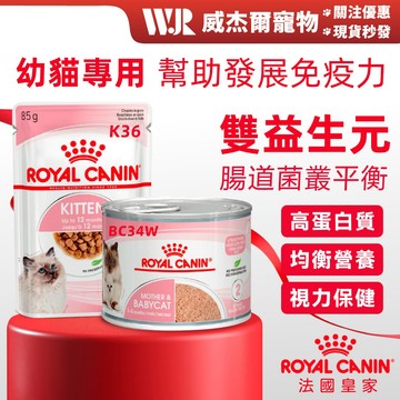 【威杰爾】法國皇家 幼貓專用濕糧 離乳貓與母貓專用濕糧 K36W BC34W 貓主食 貓餐包 貓罐頭 貓罐【A115】