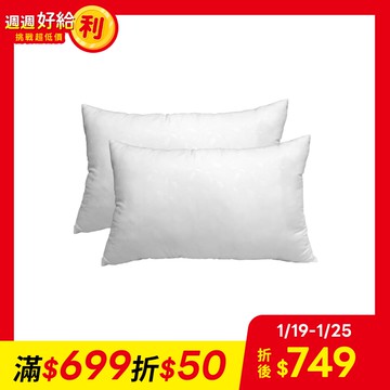 【迪克菲爾 DICK FEER】可機洗安睡羽絲絨對枕(2顆包裝)