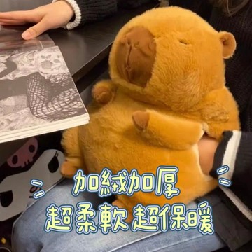 熱水袋娃娃 熱水袋 毛絨 暖水袋 註水式熱水袋 毛绒熱水袋 暖水袋娃娃 熱敷袋 暖手袋 暖宮袋 肚子暖水袋 可愛娃娃
