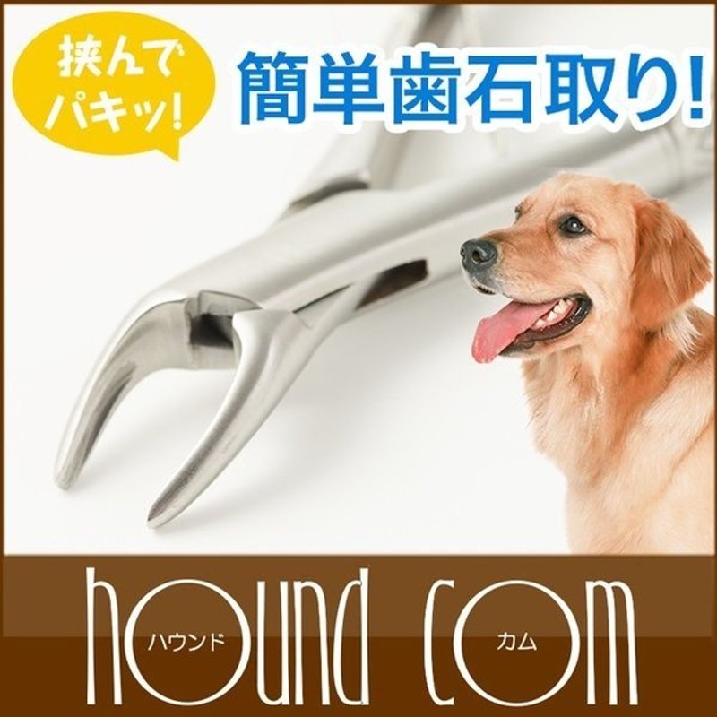 未使用 帝塚山ハウンドカム 簡単 犬用歯石取りペンチ、スケラー3点