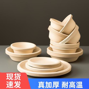 一次性碗筷套裝家用紙盤紙碗野餐餐具可降解盤子筷子食品級餐盤