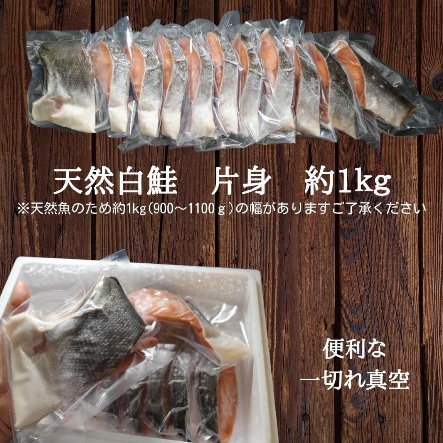 北海道知床産　天然白鮭片身約1kg 切身 甘口 通販 人気 送料無料 サケ さけ