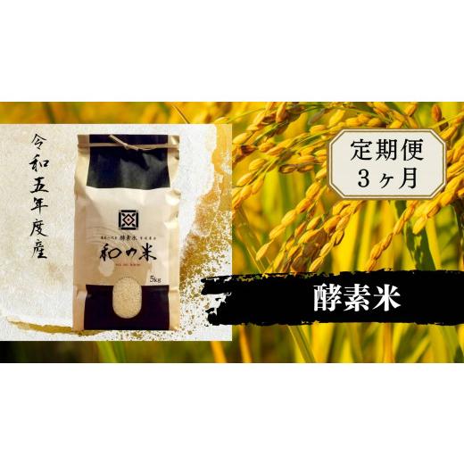 ふるさと納税 茨城県 利根町 ＼令和5年産／和の米「酵素米」　玄米5kg×3回