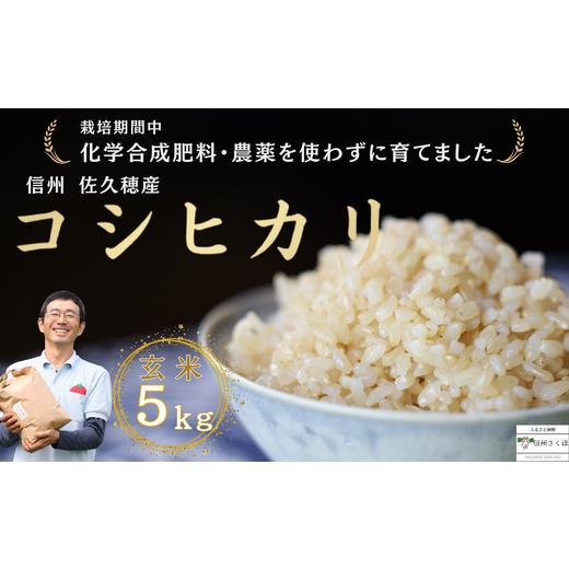 ふるさと納税 長野県 佐久穂町 炊きあがりのつやと香りが良く、うま味も強い　コシヒカリ　玄米５kg　佐久穂とさや農園〔ST-B5-1〕