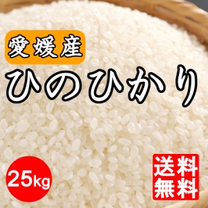 お米 令和5年産 愛媛県産 ヒノヒカリ 25kg 送料無料※北海道,東北,沖縄除く