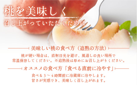 桃 5kg 先行予約 2024年 グルメ 《品種おまかせ「 白鳳 」「 あかつき 」「 なつっこ 」いずれか1品種》 光センサー選別品  配送先は本州限定 2024年8月上旬頃から2024年8月下旬頃まで順次発送予定 日時指定不可 令和6年度出荷分 長野県 飯綱町 [0057]