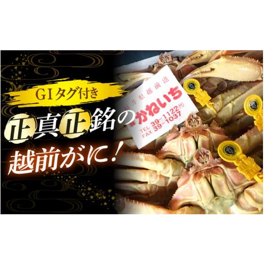 ふるさと納税 福井県 越前町 越前がに本場の越前町からお届け！越前がに 浜茹で 大サイズ（生で0.9〜1.1kg） × 1杯【福井県 越前町 雄 ズワ…