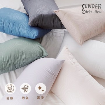 莫蘭迪色系列-抗菌機能可水洗舒眠枕(七色任選)台灣製※ 超取限2入｜枕頭 纖維枕 飯店枕｜【SC生活美學寢具坊】