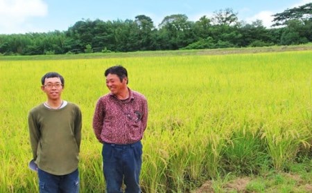 ひのひかり「きりしまのゆめ(無洗米)」6kg(2kg×3袋)のお米を6回配送  [宮崎県産 精米 白米 特A地区 特別栽培米 産地直送 産直 国産米 小分け 真空チャック袋 真空パック ごはん 合計約30kg] 特番588