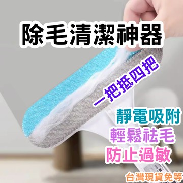 【12HR台灣出貨】除毛神器 靜電除毛刷 高效除毛清潔刷 清潔專家 除毛刷 除毛清潔刷 貓咪除毛刷 寵物 除貓毛 除狗毛
