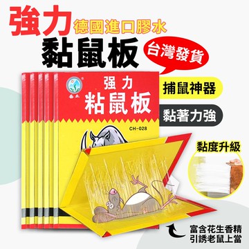 黏性十足的超强老鼠板子【臺灣發貨】  進口膠水 粘鼠貼 滅鼠 黏鼠闆 老鼠闆  捕老鼠 補鼠貼  抓老鼠 老鼠貼 老鼠神