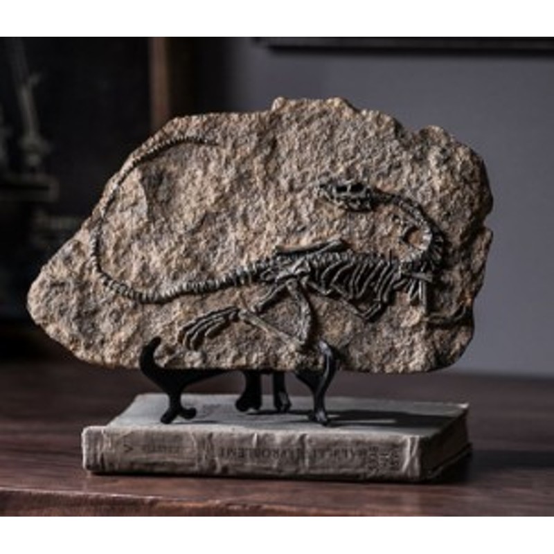 置物 恐竜の化石 ミニチュア レプリカ アートなオブジェ (Bタイプ  