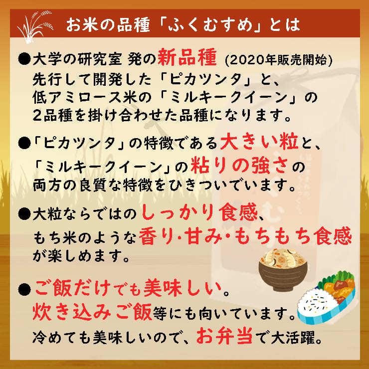 新米 5kg ふくむすめ 福井県産 白米 令和5年産 送料無料