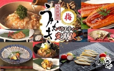 うなぎの概念が変わる!!龍鰻バラエティー定期便《梅》