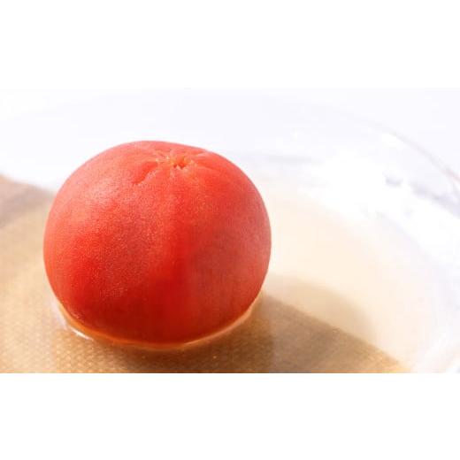 ふるさと納税 熊本県 八代市    八代市産 規格外トマト 2kg 熊本県 トマト 野菜