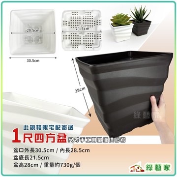 【綠藝家】ET四方盆1尺(黑色、白色)兩色可選