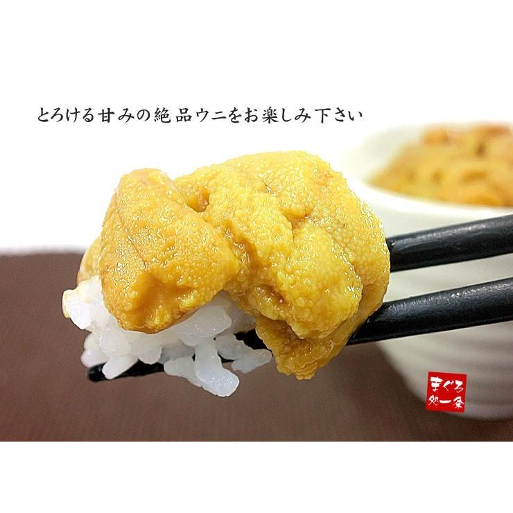 生ウニ200g（100g×2パック）無添加 送料無料 刺身 海鮮丼 食べ物《ref-un2》yd5[[生ウニ100-2p]