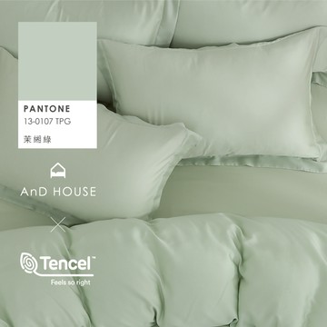 AnD House 天絲60支-茉緗綠-床包被套組｜安庭家居 素色 顏色任搭