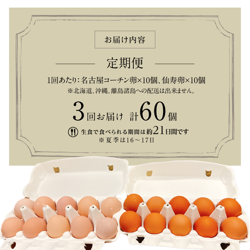 名古屋コーチン卵・仙寿卵お試しセット（各10個入り）×3回（計各30個） [006K02-T]