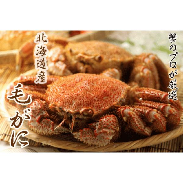 毛蟹 送料無料 北海道産 1kg（500ｇ２尾入り）　ボイル冷凍