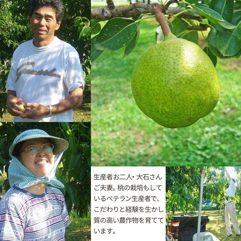 山形県産 ラフランス ＆ 完熟 ふじりんご 3ｋｇ