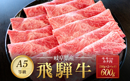 飛騨牛Ａ5 赤身肉 スライス 600g（300g×2パック）モモ 又は カタ 肉 ｜国産 肉 牛肉 焼肉 すき焼き しゃぶしゃぶ 和牛 黒毛和牛 赤身 グルメ A5等級 おすすめ AD120