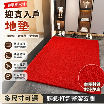 【客製化】550定製 迎賓 地墊 墊子 拉絲 進門入戶 門口 地墊 防滑 大麵積 可裁剪 絲圈塑料地毯 腳墊 加