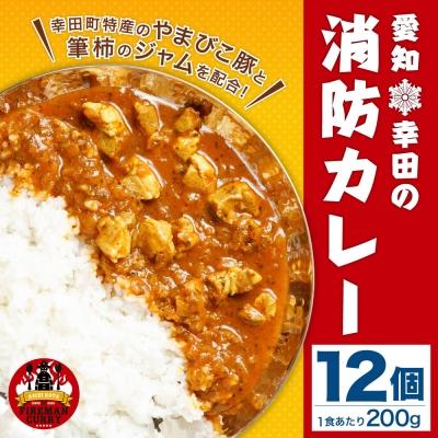 ふるさと納税 幸田町 幸田消防カレー 200g×12個入り レトルトカレー カレー 小麦粉不使用