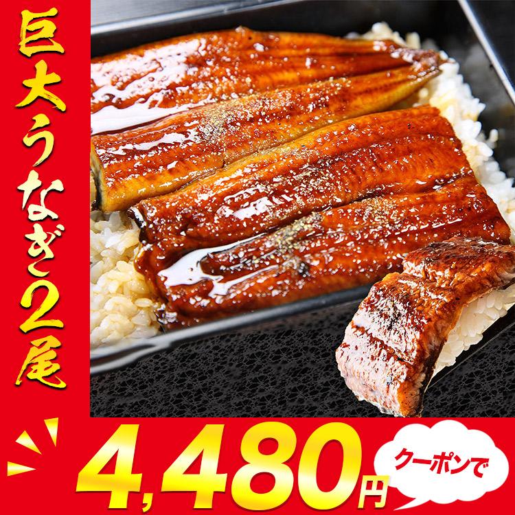 うなぎ うなぎ 驚く大きさ 巨大うなぎ蒲焼き 2尾×約400g 計約800g 山椒たれ付き 優良配送 ウナギ 鰻 蒲焼き 食品 お歳暮 ギフト うな飯 10%クーポン