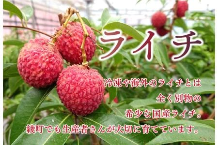 完熟 マンゴー ライチ セット 宮崎 高級 果物 フルーツ ギフト 贈答 先行受付 送料無料（14-72）