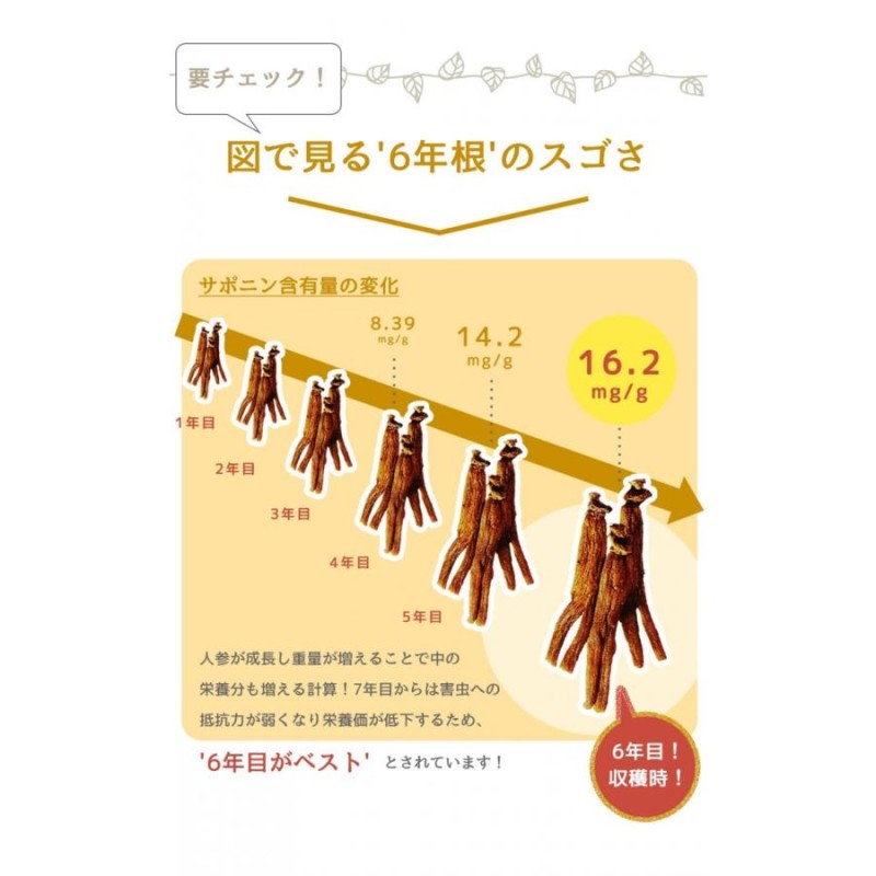 送料無料 返品不可 高麗人参 サプリメント 高麗参力 正官庄 約1ヶ月分